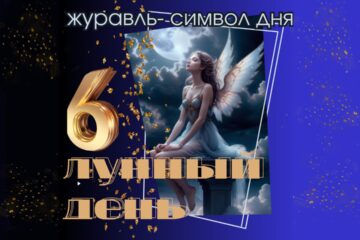 6 лунный день