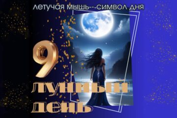 9 лунный день